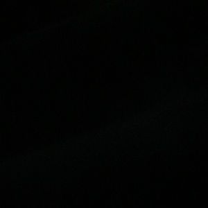 Meet your Posher, Troy